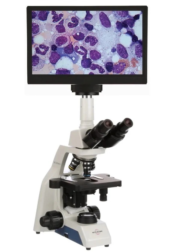 Microscopio Accu-Scope EXC 120 LED HD